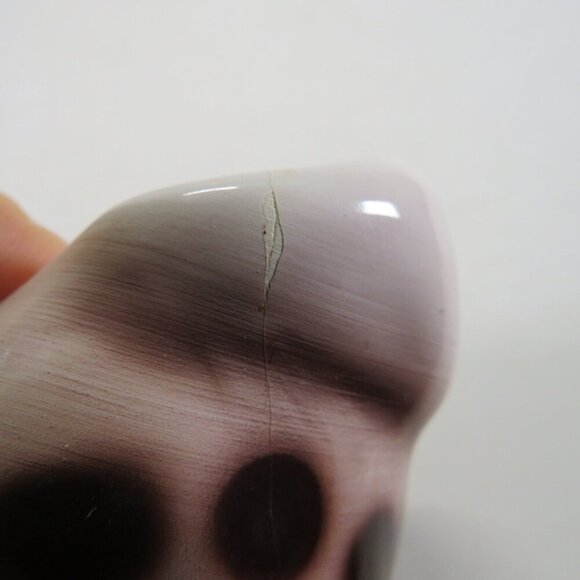 Ceramic Sea Shell Dish - Planter Cowrie Shell Brown Spotted - Picture 7 of 14